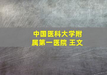 中国医科大学附属第一医院 王文